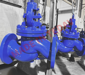 Globe Valve