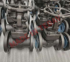 Forged Valve